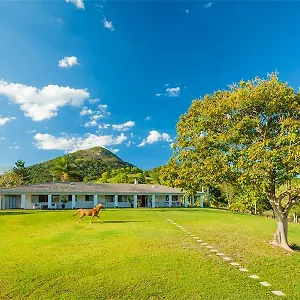 eumundi-mountain-retreat.hotelssunshinecoast.net/